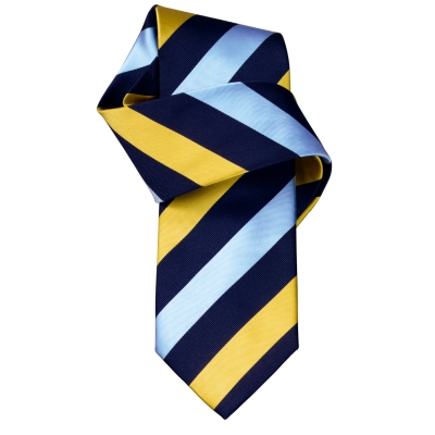 Charles Tyrwhitt Hudson Gold 