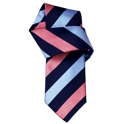 Charles Tyrwhitt Hudson Pink 