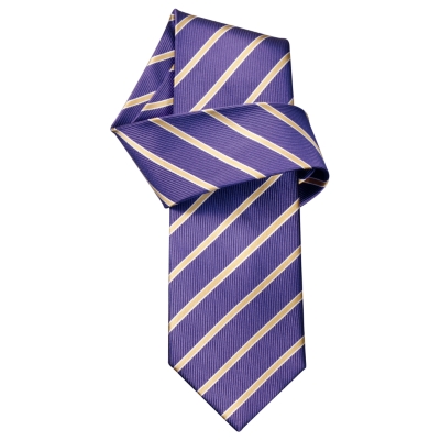 Charles Tyrwhitt Ramsay Navy 