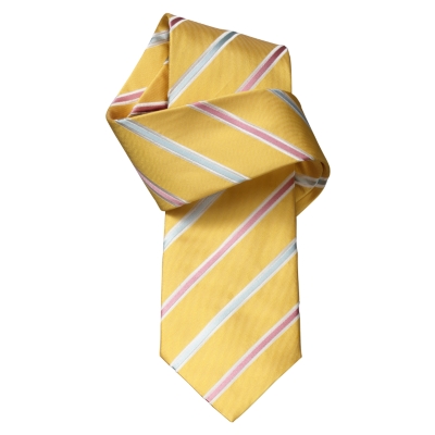 Charles Tyrwhitt Walter Gold Stripe Handmade Woven Tie