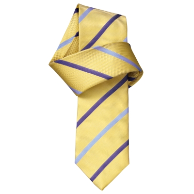 Charles Tyrwhitt Dean Gold Oxford Stripe Woven Skinny Tie